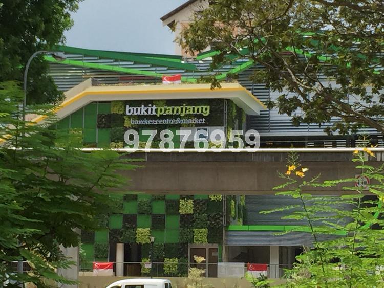 Blk 235 Bukit Panjang Ring Road (Bukit Panjang), HDB 5 Rooms #73494082